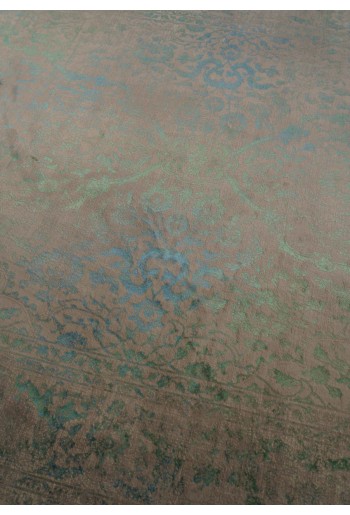 Prestige Persian HR 153 2